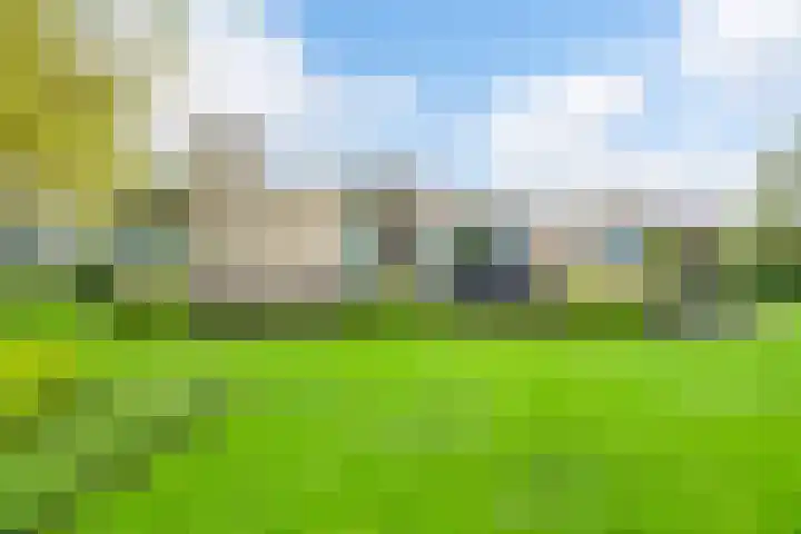Kievitlaan 5 Riethoven thumbnail 31