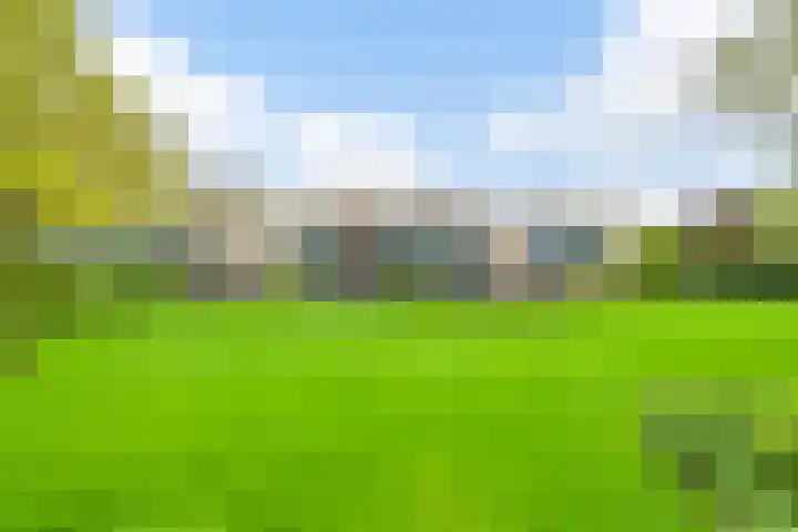 Kievitlaan 5 Riethoven thumbnail 32