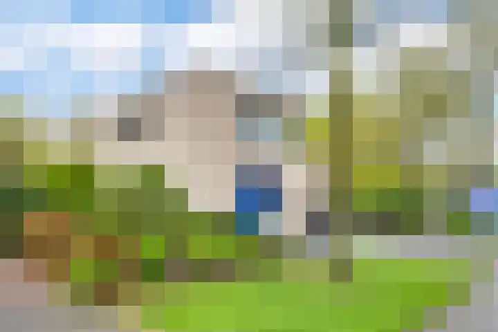 Kievitlaan 5 Riethoven thumbnail 34
