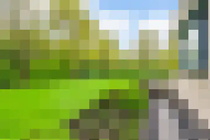 Kievitlaan 5 Riethoven thumbnail 35