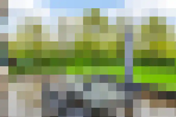 Kievitlaan 5 Riethoven thumbnail 36