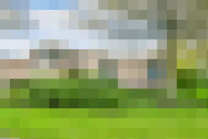 Kievitlaan 5 Riethoven thumbnail 4