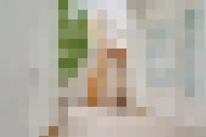 Kievitlaan 5 Riethoven thumbnail 7
