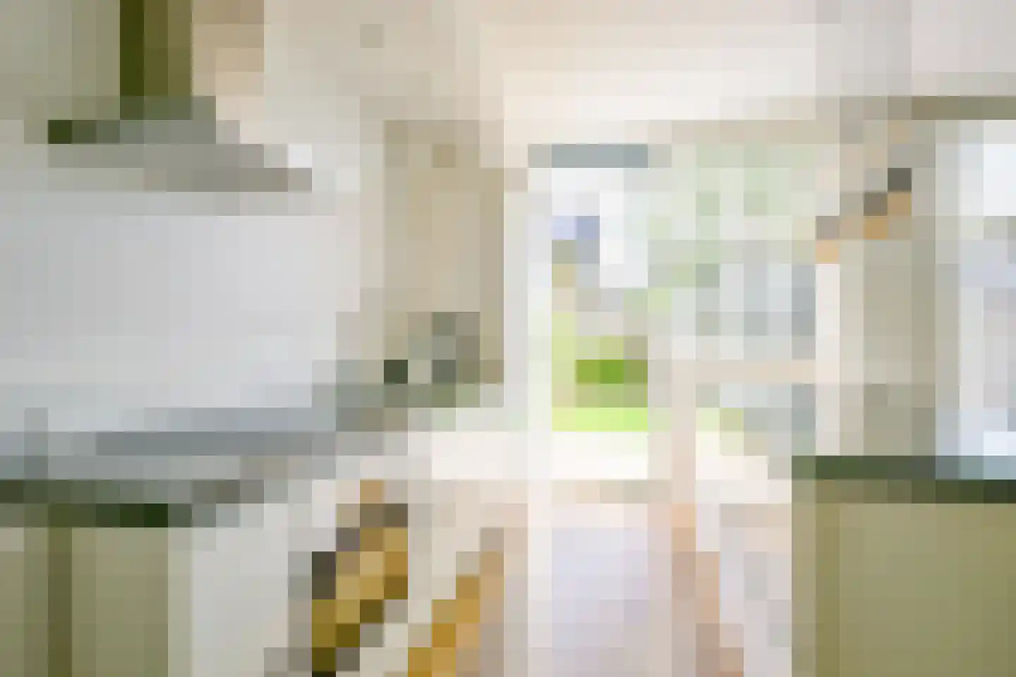 Kievitlaan 56 Schagen thumbnail 15