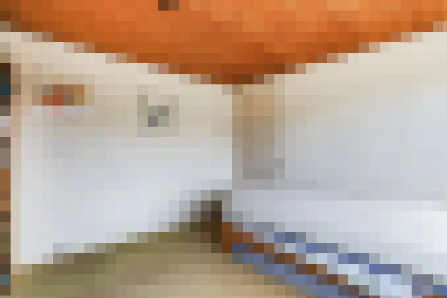 Kievitlaan 6 Hoevelaken thumbnail 20