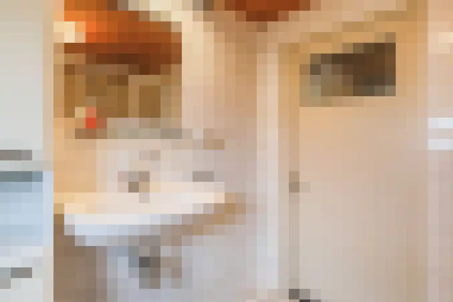Kievitlaan 6 Hoevelaken thumbnail 23