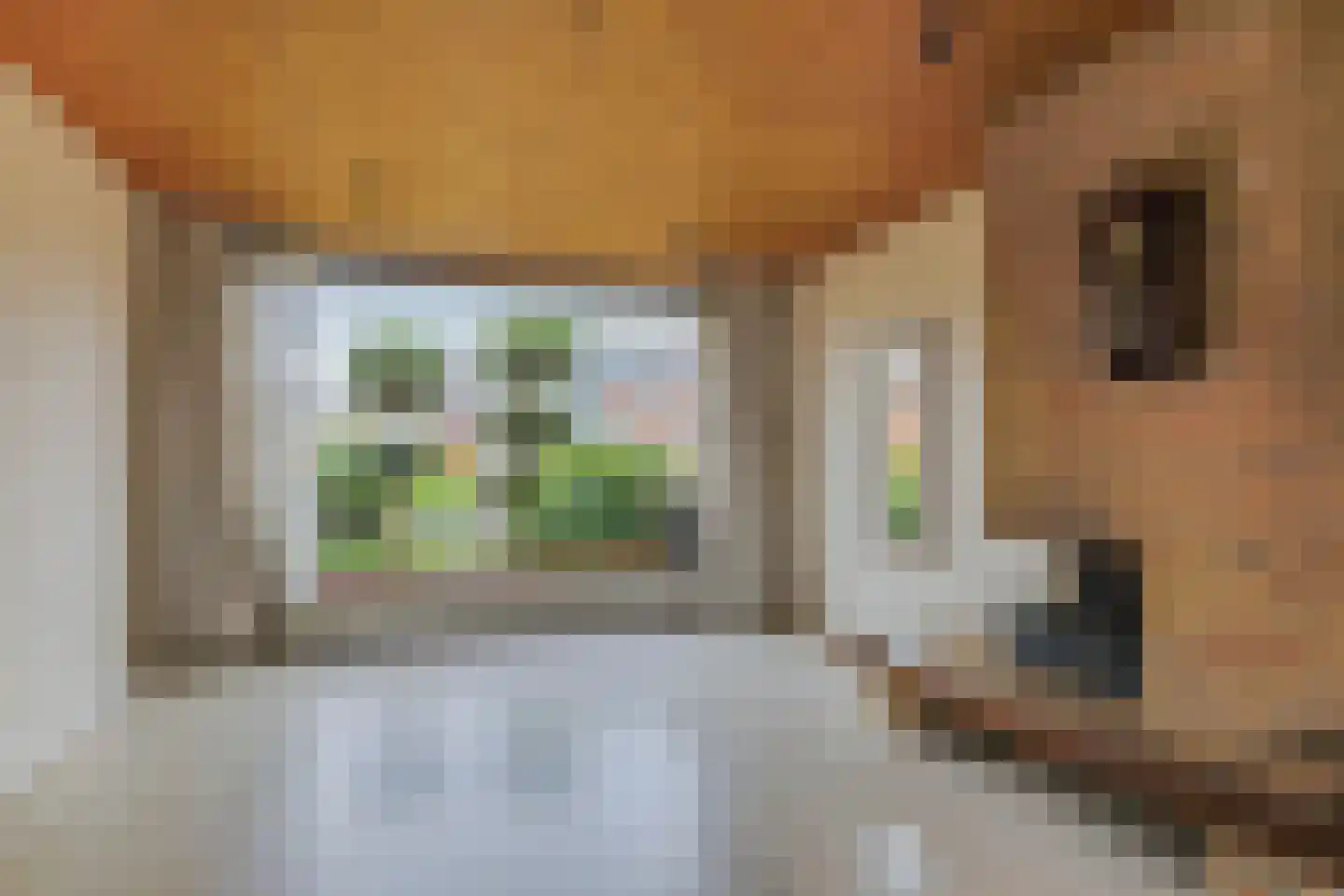 Kievitlaan 6 Hoevelaken thumbnail 4