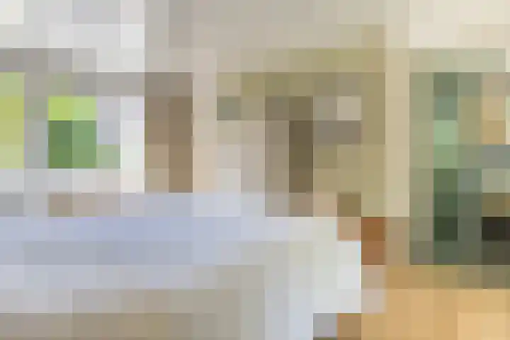 Kievitlaan 6 Koudekerk aan den Rijn thumbnail 17