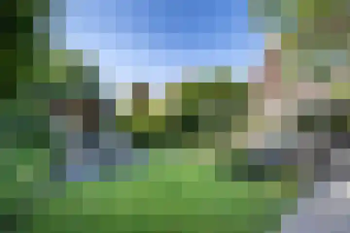 Kievitlaan 6 Koudekerk aan den Rijn foto 3