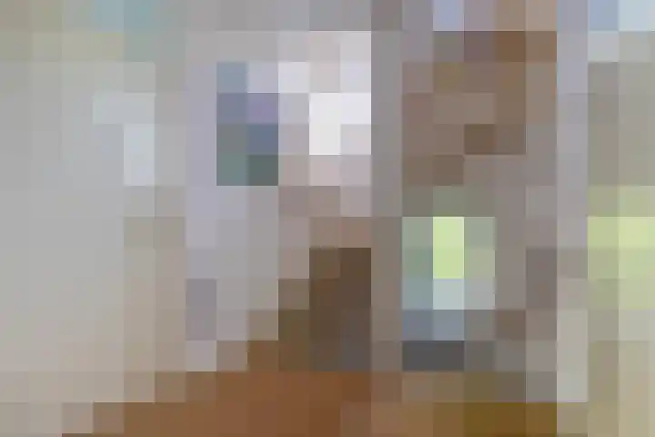 Kievitlaan 6 Koudekerk aan den Rijn thumbnail 30