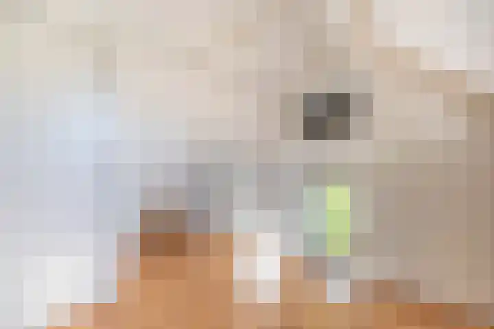 Kievitlaan 6 Koudekerk aan den Rijn thumbnail 31
