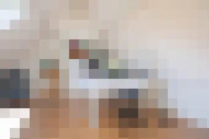 Kievitlaan 6 Koudekerk aan den Rijn thumbnail 34