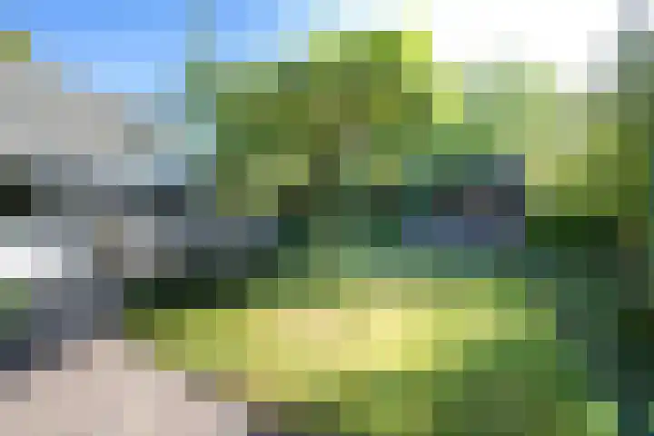 Kievitlaan 6 Koudekerk aan den Rijn thumbnail 36