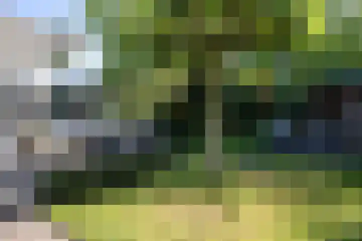 Kievitlaan 6 Koudekerk aan den Rijn thumbnail 37