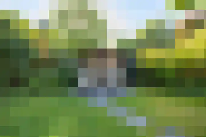 Kievitlaan 6 Koudekerk aan den Rijn thumbnail 38