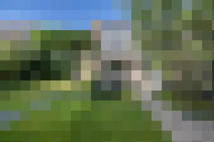 Kievitlaan 6 Koudekerk aan den Rijn thumbnail 39