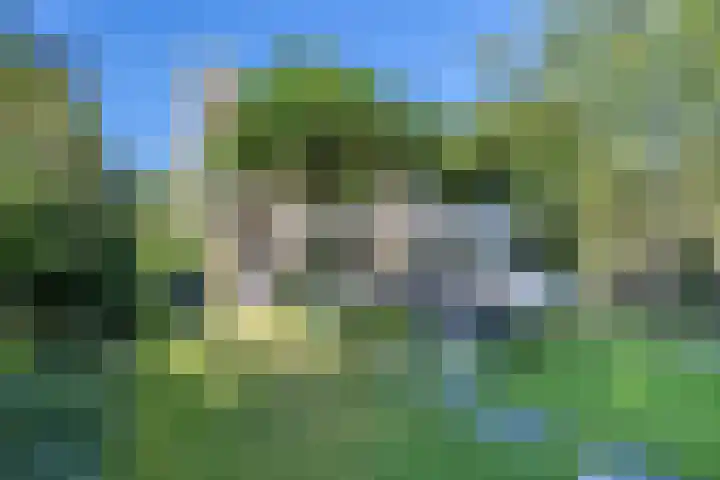 Kievitlaan 6 Koudekerk aan den Rijn thumbnail 40