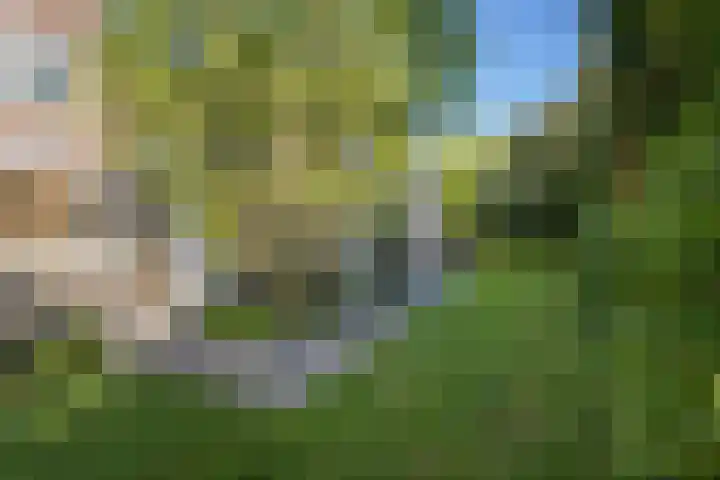 Kievitlaan 6 Koudekerk aan den Rijn thumbnail 41