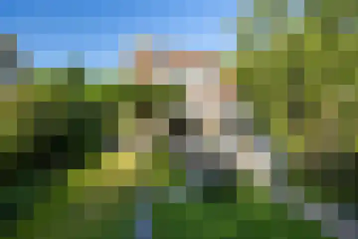 Kievitlaan 6 Koudekerk aan den Rijn thumbnail 42