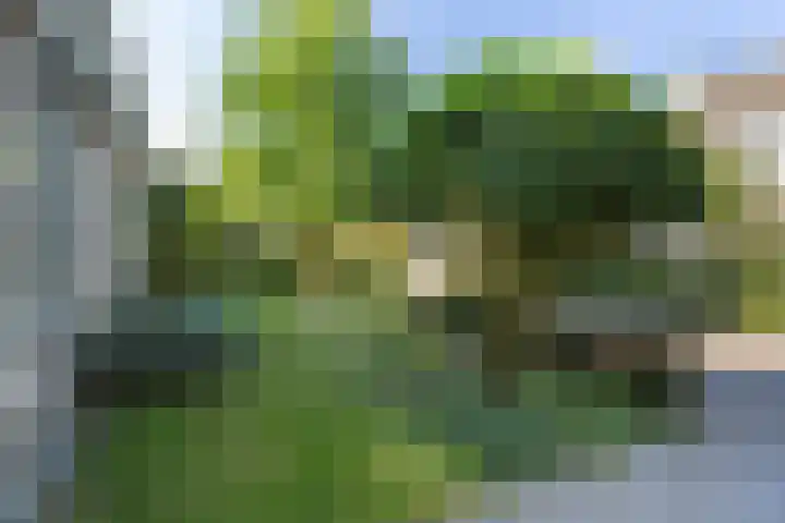 Kievitlaan 6 Koudekerk aan den Rijn thumbnail 45