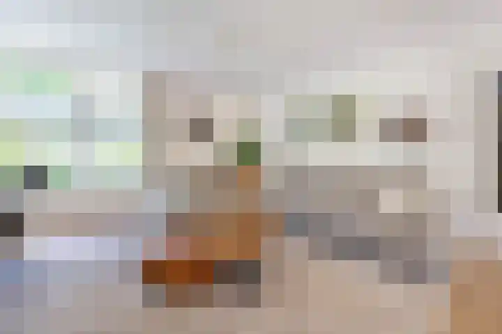 Kievitlaan 6 Koudekerk aan den Rijn thumbnail 5