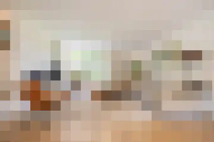 Kievitlaan 6 Koudekerk aan den Rijn thumbnail 6