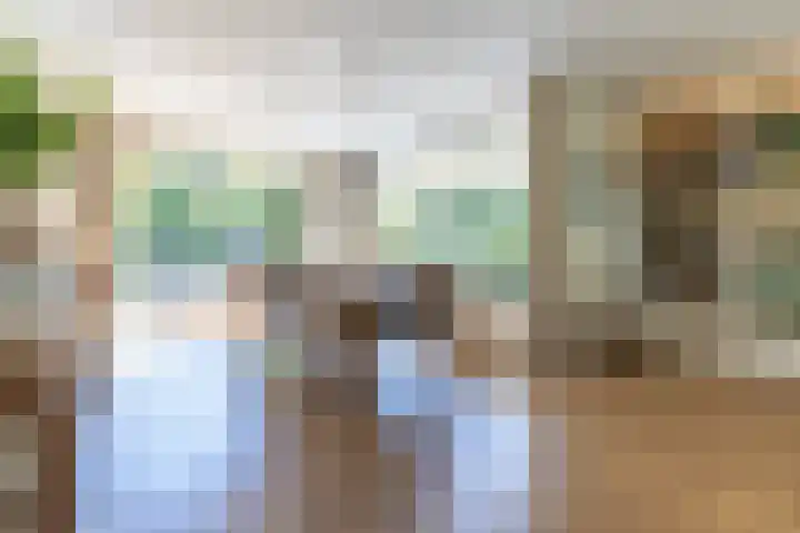 Kievitlaan 6 Koudekerk aan den Rijn thumbnail 8
