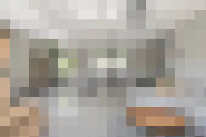 Kievitlaan 61 Boekel thumbnail 11