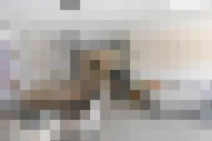 Kievitlaan 61 Boekel thumbnail 12