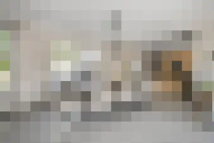 Kievitlaan 61 Boekel thumbnail 13