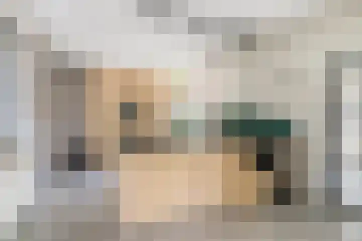 Kievitlaan 61 Boekel thumbnail 16