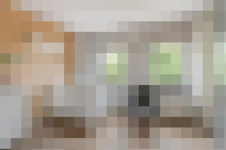 Kievitlaan 61 Boekel thumbnail 30