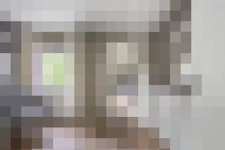 Kievitlaan 61 Boekel thumbnail 31