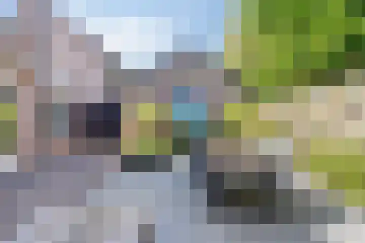 Kievitlaan 61 Boekel thumbnail 50