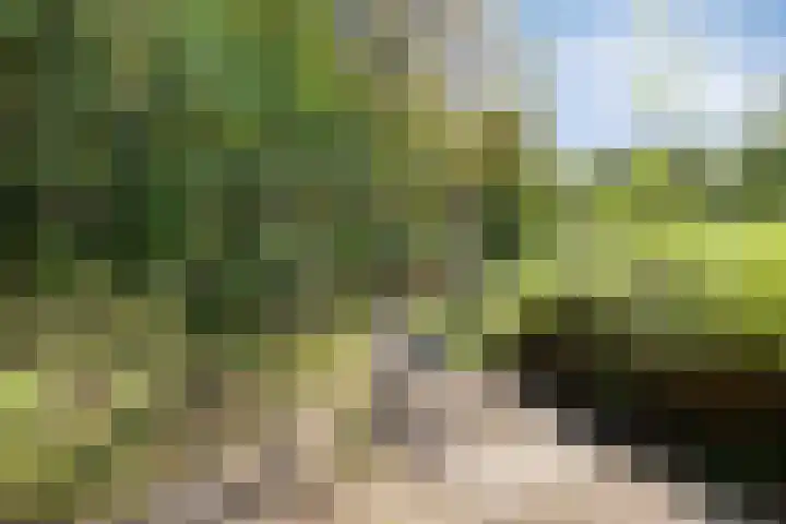 Kievitlaan 61 Boekel thumbnail 54