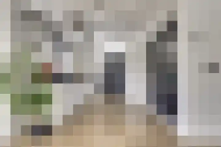 Kievitlaan 7 Nieuwerkerk thumbnail 10