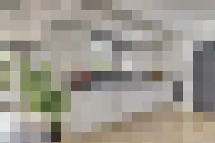 Kievitlaan 7 Nieuwerkerk thumbnail 11