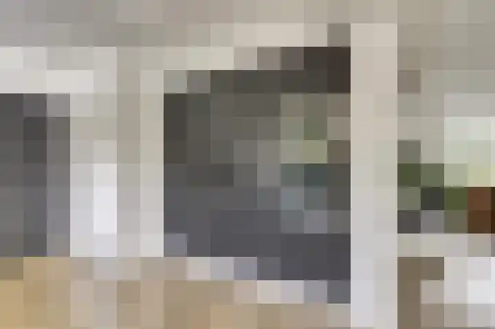 Kievitlaan 7 Nieuwerkerk thumbnail 12