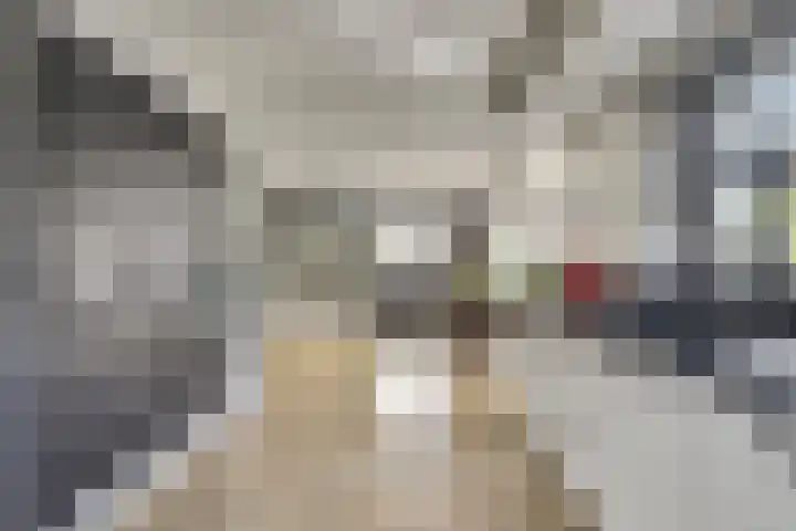 Kievitlaan 7 Nieuwerkerk thumbnail 13