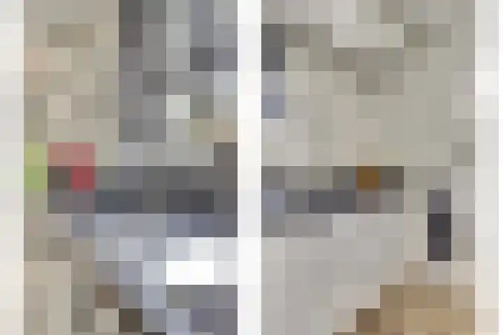 Kievitlaan 7 Nieuwerkerk thumbnail 14