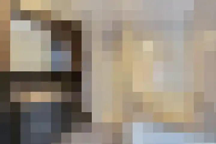 Kievitlaan 7 Nieuwerkerk thumbnail 15