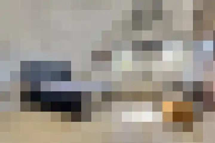 Kievitlaan 7 Nieuwerkerk thumbnail 19