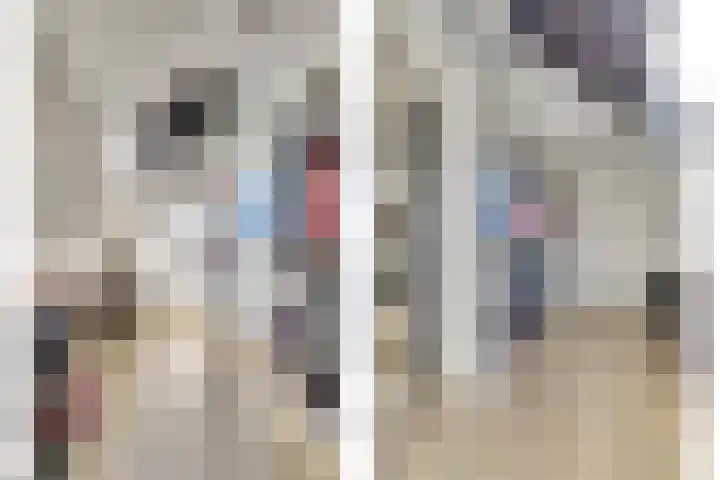 Kievitlaan 7 Nieuwerkerk thumbnail 25