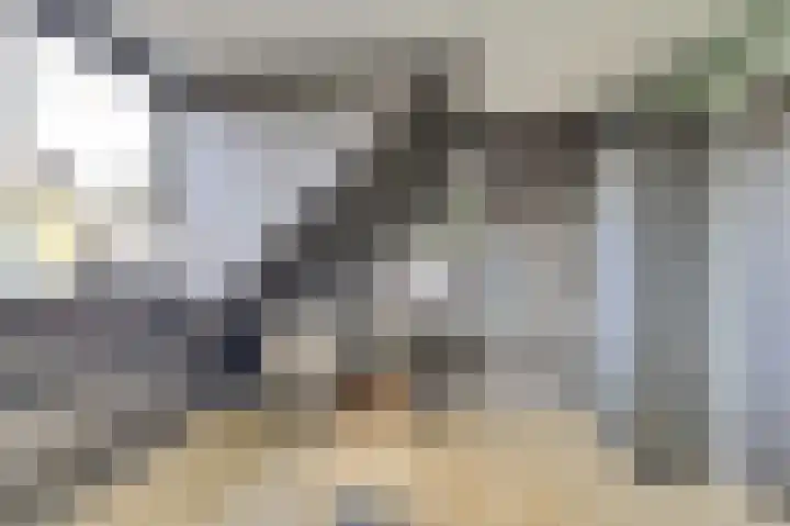 Kievitlaan 7 Nieuwerkerk thumbnail 27