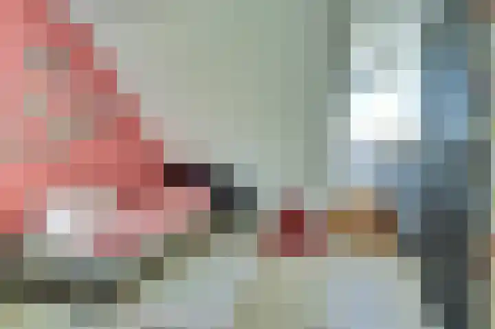 Kievitlaan 7 Nieuwerkerk thumbnail 29