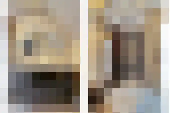 Kievitlaan 7 Nieuwerkerk thumbnail 32