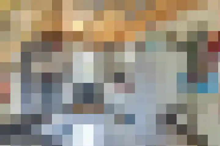 Kievitlaan 7 Nieuwerkerk thumbnail 37