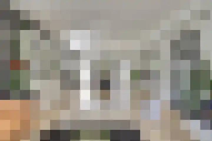 Kievitlaan 7 Nieuwerkerk thumbnail 4