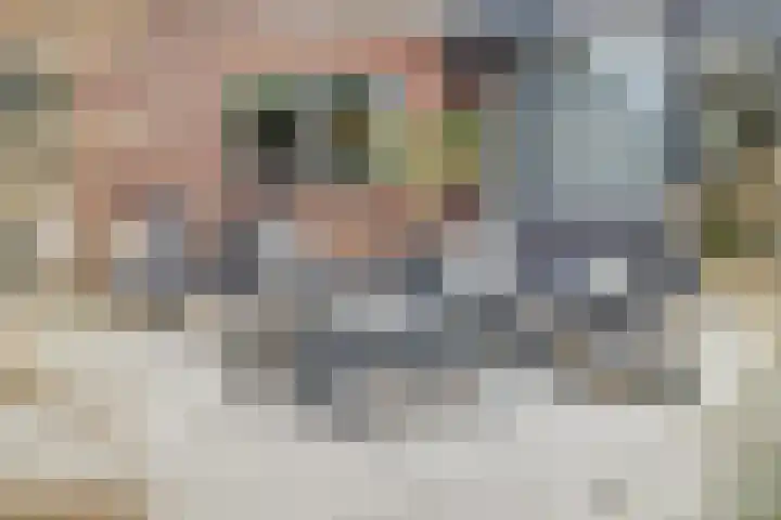 Kievitlaan 7 Nieuwerkerk thumbnail 41