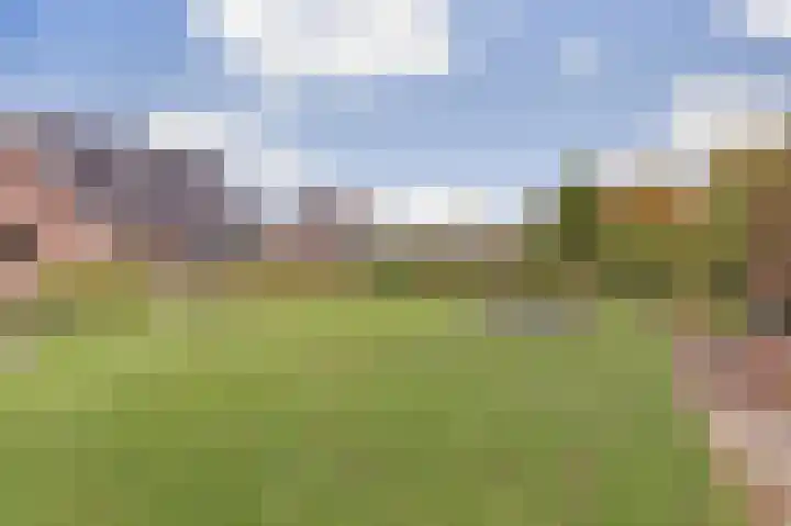 Kievitlaan 7 Nieuwerkerk thumbnail 47